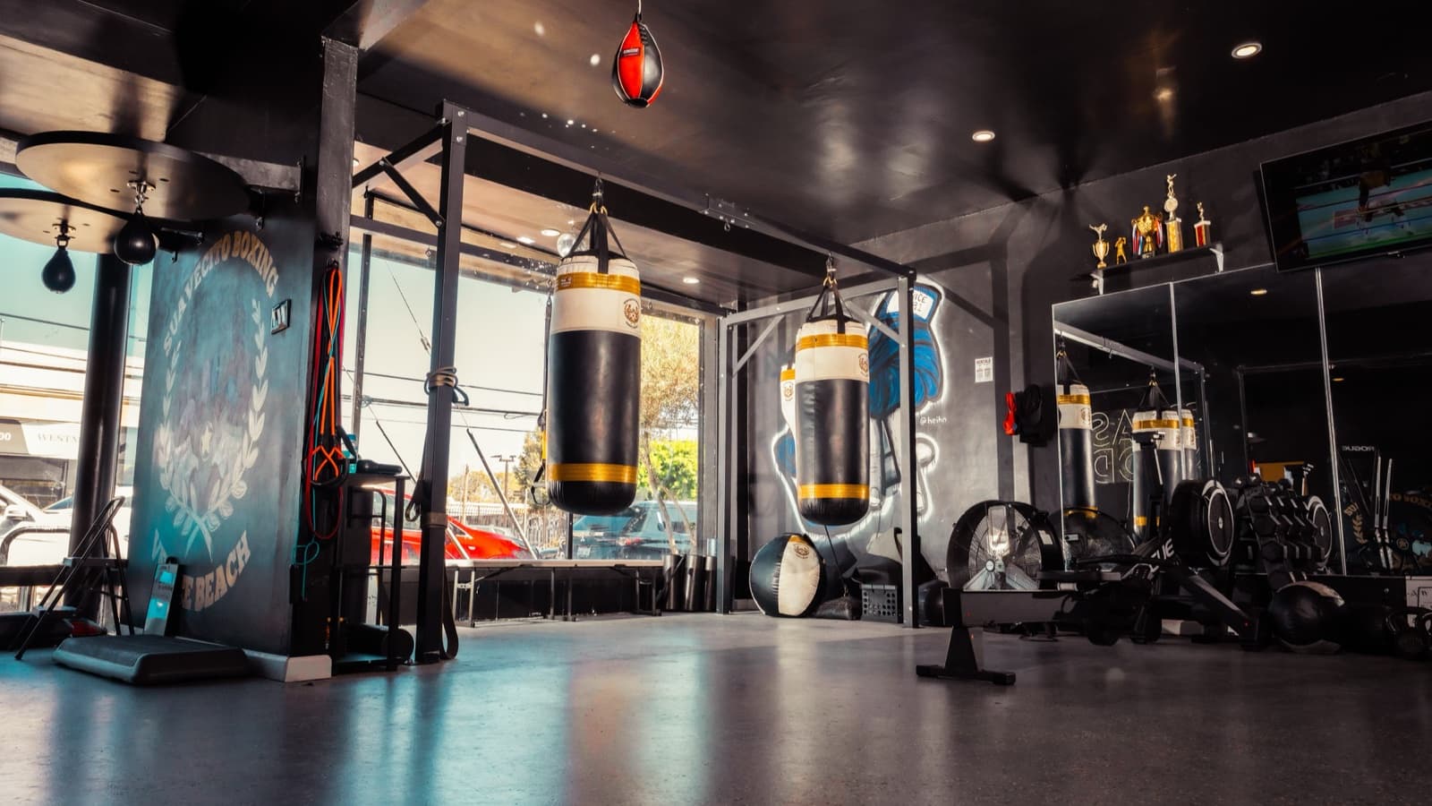 Suavecito boxer training in the studio